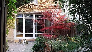 Bambuspraxis Berlin Prenzlauer Berg Die Praxis im Bambusgarten im Hinterhof der Diedenhofer Straße 4 in Berlin-Prenzlauer Berg